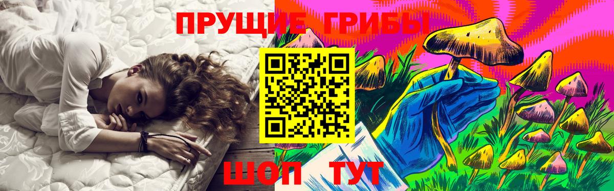 Псилоцибиновые грибы MAGIC MUSHROOMS  Вход с VPN  Великий Новгород 